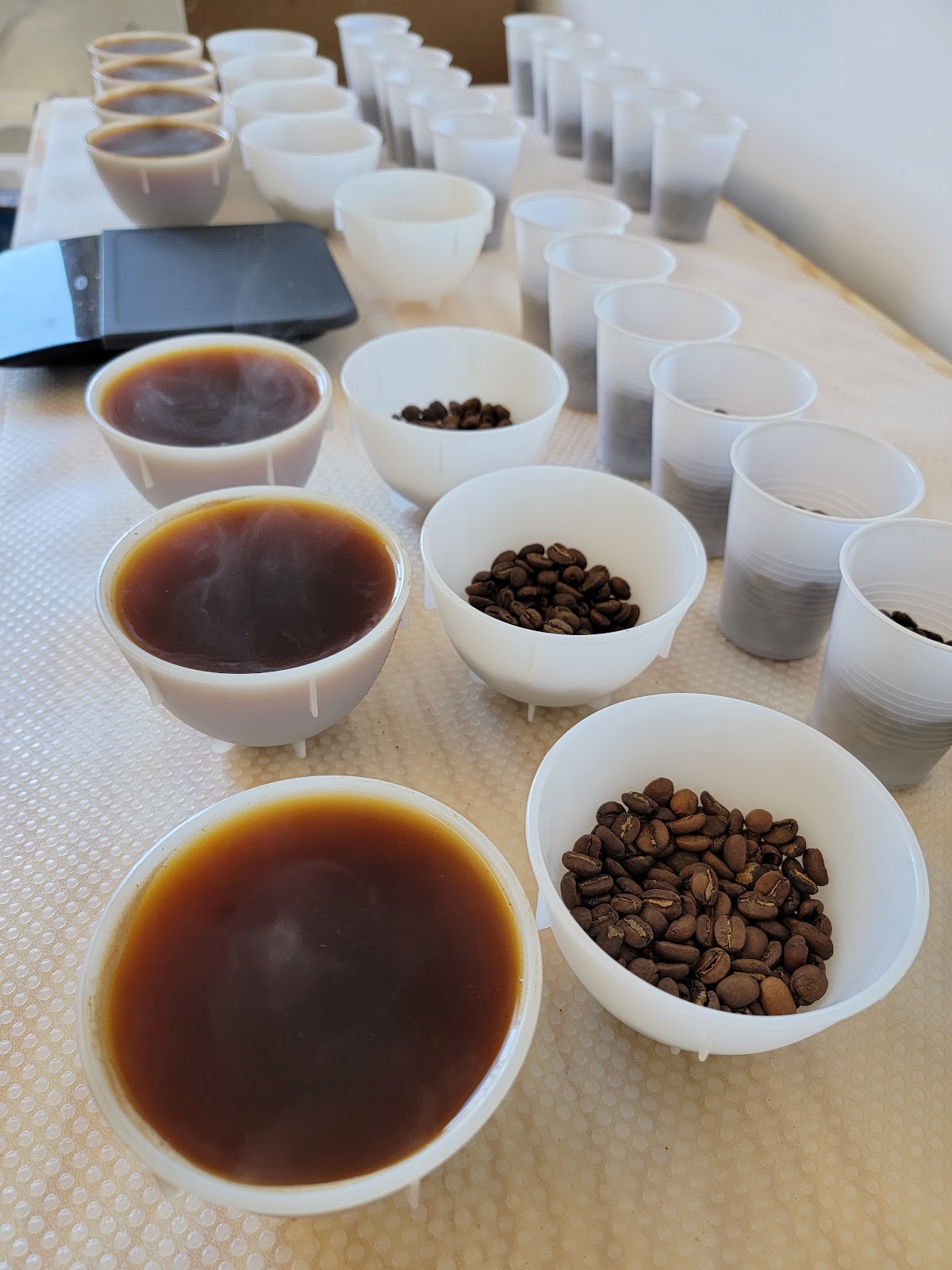 Vamo Coffee Co. class experience